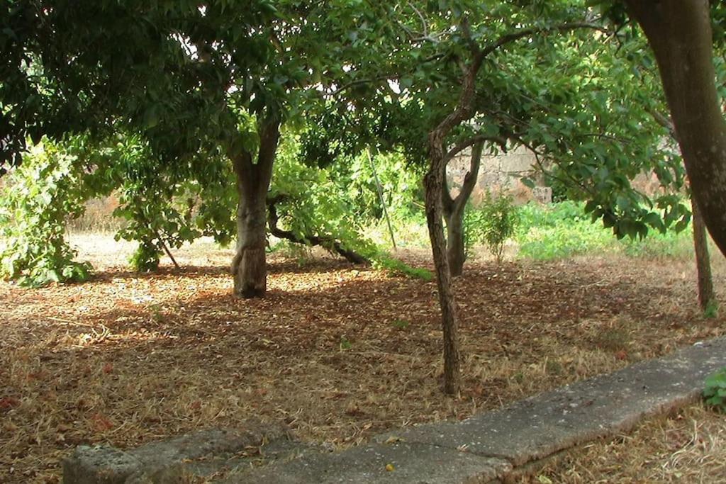 Villa Nel Salento - Ampie Camere E Giardino, Fino A 9 Persone Barbarano del Capo Buitenkant foto